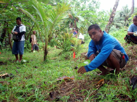 samuel_tumeric_ginger samuel_tumeric_ginger